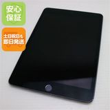  SIMե꡼ iPad mini 5 256GB ڡ쥤