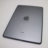 �¿��ݾ��� ���� iPad Air Wi-Fi 32GB ���ڡ������쥤  �������