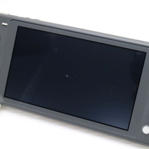 �¿��ݾ� ���� Nintendo Switch Lite ���졼