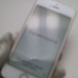 �¿��ݾ��� Ķ���� SIM�ե꡼ iPhoneSE 16GB ������������� ����� �������