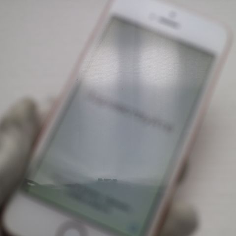 �¿��ݾ��� Ķ���� SIM�ե꡼ iPhoneSE 16GB ������������� ����� �������