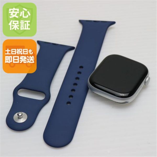 安心保証 美品 Apple Watch Series 10 46mm GPS シルバー