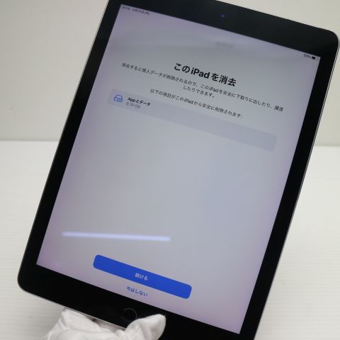���� SIM�ե꡼ iPad Pro 9.7����� Wi-Fi+����顼  32GB ���ڡ������쥤