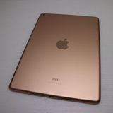 �¿��ݾ� Ķ���� iPad7 ��7���� wi-fi��ǥ� 32GB  �������