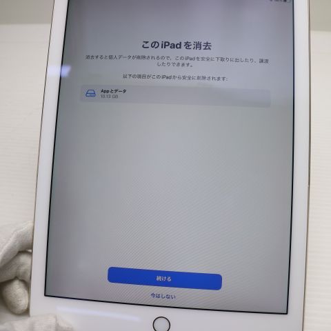 �¿��ݾ� Ķ���� iPad Pro 9.7����� Wi-Fi 256GB ������� ����