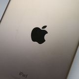 ���� SIM�ե꡼ iPad mini 4 Cellular 128GB �������  �������