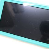 �¿��ݾ� ���� Nintendo Switch Lite ����������