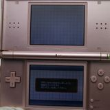 �¿��ݾ��� Ķ���� �˥�ƥ�ɡ�DS Lite �饤�� ����  �������