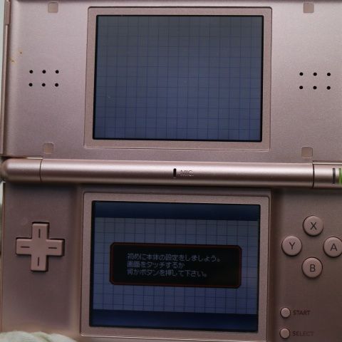 �¿��ݾ��� Ķ���� �˥�ƥ�ɡ�DS Lite �饤�� ����  �������