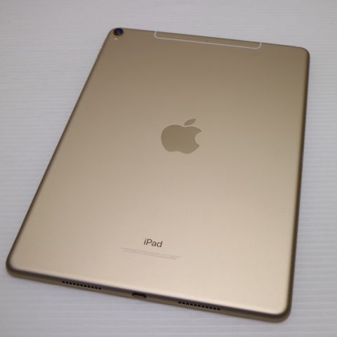 Ķ���� SIM�ե꡼ iPad Pro 10.5����� Wi-Fi+����顼  256GB �������