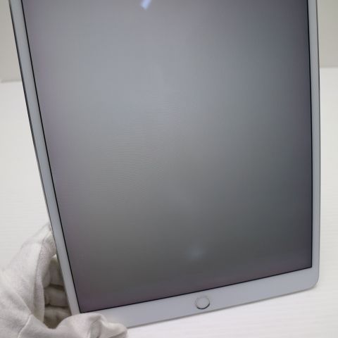�¿��ݾ� Ķ���� iPad Pro 10.5����� Wi-Fi 64GB ����С� ����