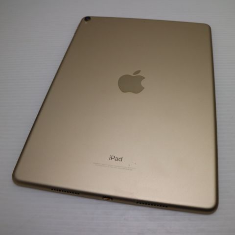 �¿��ݾ� ����Ʊ�� iPad Pro 10.5����� Wi-Fi 64GB ������� ����