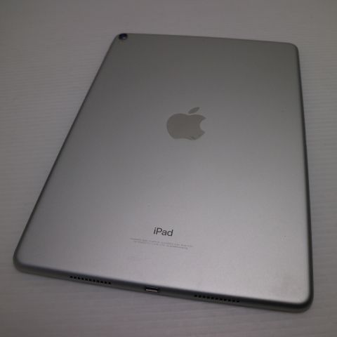 �¿��ݾ� Ķ���� iPad Pro 10.5����� Wi-Fi 64GB ����С� ����