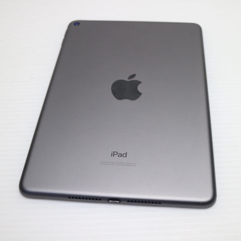 ���� iPad mini 5 Wi-Fi 256GB ���ڡ������쥤