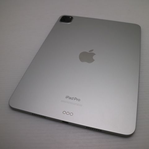 �¿��ݾ� Ķ���� iPad Pro ��4���� 11����� 128GB ����С�