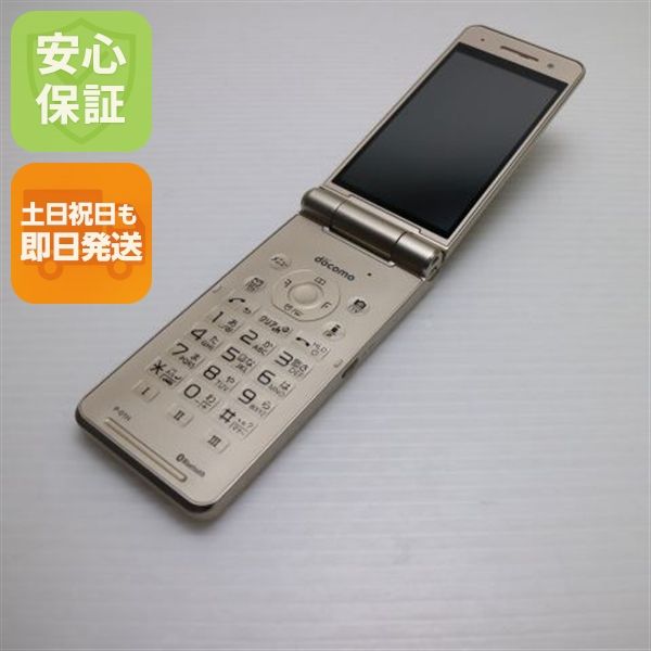 �¿��ݾ��� ����Ʊ�� P-01H �������  �������