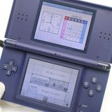 �¿��ݾ��� ������� �˥�ƥ�ɡ�DS Lite �饤�� �ͥ��ӡ�  �������