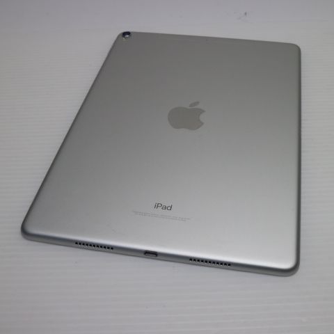 ¿ݾ Ķ SIMե꡼ iPad Pro 10.5 256GB С
