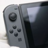 �¿��ݾ� ���� Nintendo Switch ���졼