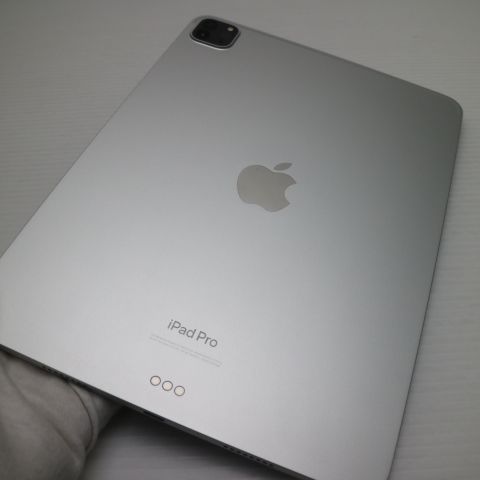 �¿��ݾ� Ķ���� iPad Pro ��4���� 11����� 128GB ����С�