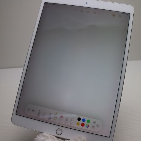 �¿��ݾ� Ķ���� iPad Pro 10.5����� Wi-Fi 64GB ����С� ����