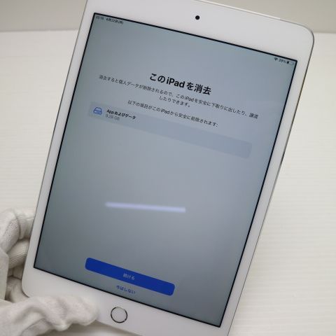 Ķ���� SIM�ե꡼ iPad mini 4 Cellular ����顼 128GB ����С�