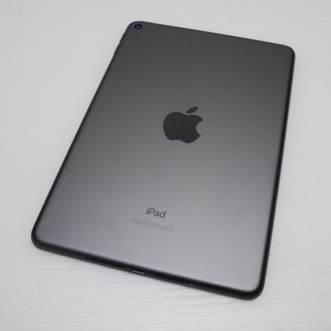Ʊ iPad mini 5 Wi-Fi 256GB ڡ쥤