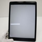 �¿��ݾ� Ķ���� iPad ��8���� Wi-Fi 128GB ���ڡ������쥤 ����������¨��ȯ��
