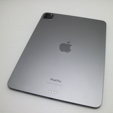 �¿��ݾ� Ķ���� iPad Pro ��4���� 11����� 256GB ���ڡ������쥤
