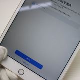 �¿��ݾ��� Ķ���� iPad mini 4 Wi-Fi 128GB �������  �������