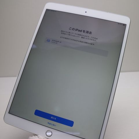 �¿��ݾ� Ķ���� SIM�ե꡼ iPad Air 3 ����顼 64GB  ����С�