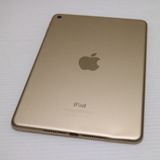 �¿��ݾ��� Ķ���� iPad mini 4 Wi-Fi 128GB �������  �������