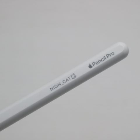 �¿��ݾ� ����Ʊ�� Apple Pencil Pro �ۥ磻��