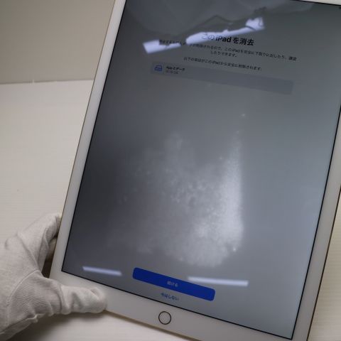 �¿��ݾ��� Ķ���� iPad Pro 12.9����� Wi-Fi 128GB �������  �������