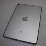 Ķ SIMե꡼ iPad mini 5 64GB С
