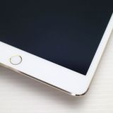 �¿��ݾ��� ����Ʊ�� SIM�ե꡼ iPad mini 4 ����顼 64GB �������
