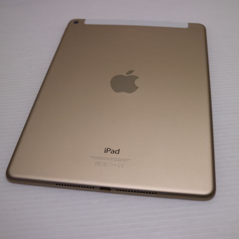 �¿��ݾ��� Ķ���� docomo iPad Air 2 Cellular  16GB �������