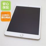 �¿��ݾ��� ���� iPad mini 3 Wi-Fi 64GB �������  �������