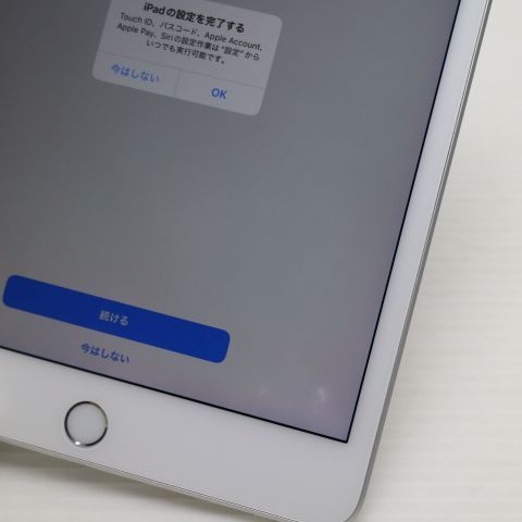  SIMե꡼iPad mini5 Wi-Fi+Cellular  256GB С