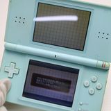 �¿��ݾ��� ������� �˥�ƥ�ɡ�DS Lite �饤�� �������֥롼  �������