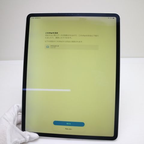 ���� SIM�ե꡼ iPad Pro��4���� 12.9����� Wi-Fi+����顼 256GB