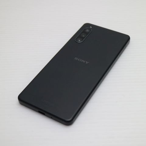 �¿��ݾ� Ķ���� Xperia 10 IV SOG07 �֥�å�