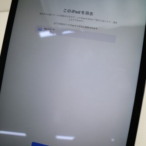Ķ SIMե꡼ iPad Pro 12.9 Cellular 128GB ڡ쥤