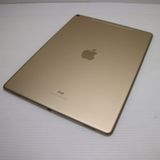 Ķ���� SIM�ե꡼ iPad Pro ��2���� 12.9����� Wi-Fi+����顼  256GB