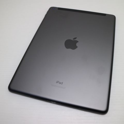 Ķ���� SIM�ե꡼ iPad9 ��9���� Wi-Fi+����顼  64GB ���ڡ������쥤