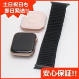 �¿��ݾ� ���� Apple Watch series4 44mm GPS��ǥ� �������