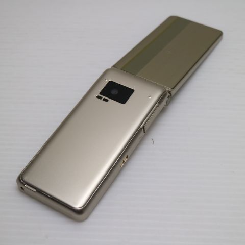 �¿��ݾ��� Ķ���� P-01J P-smart �������� �������  �������