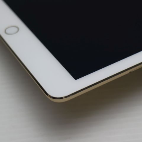 �¿��ݾ��� Ķ���� docomo iPad Air 2 Cellular 16GB �������