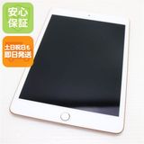 ����Ʊ�� SIM�ե꡼ iPad mini 5 Cellular 256GB �������
