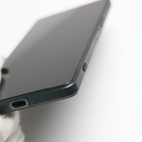 �¿��ݾ� Ķ���� Xperia 1 V XQ-DQ44 ���������꡼��